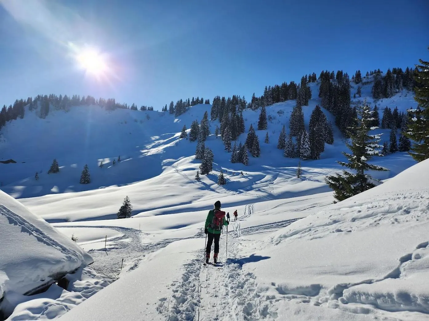 Alpenu Exklusiv Villa Balderschwang 0*,