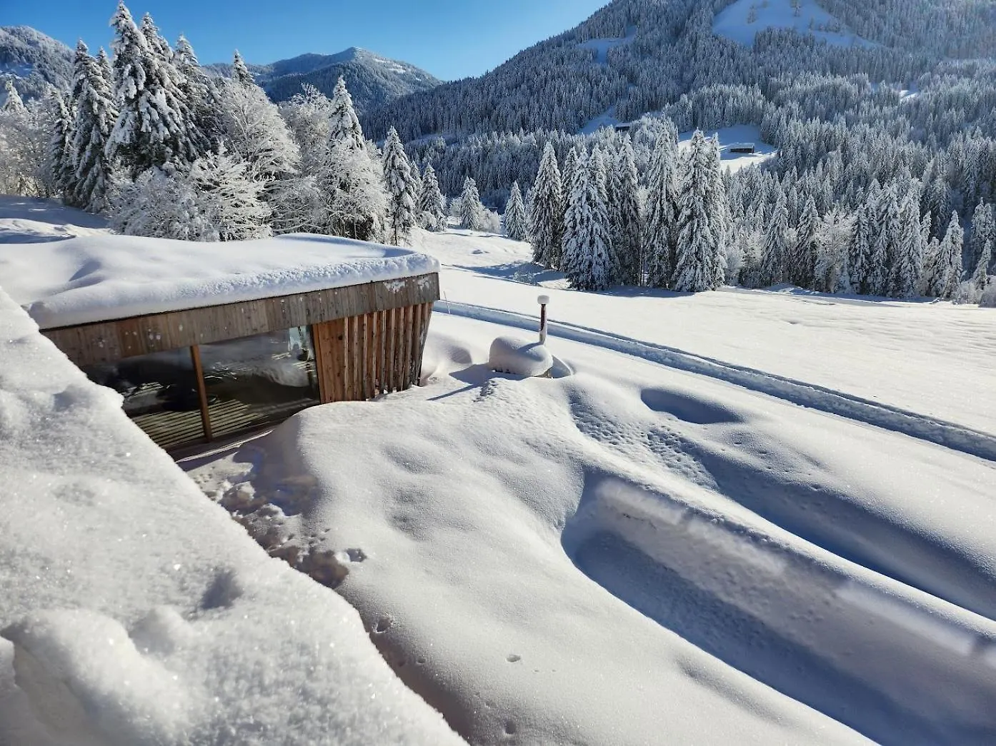Alpenu Exklusiv Villa Balderschwang