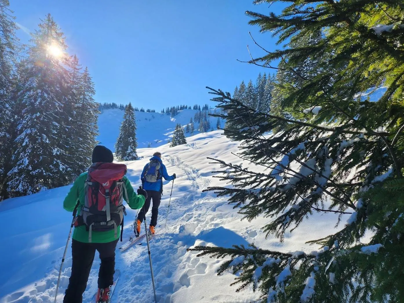 Alpenu Exklusiv Villa Balderschwang